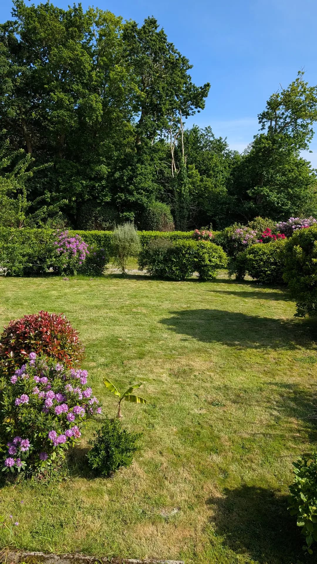 Jardin fleuri exposé au soleil
